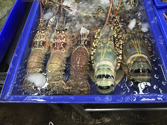 Fisk- och skaldjursmarknad i Naklua